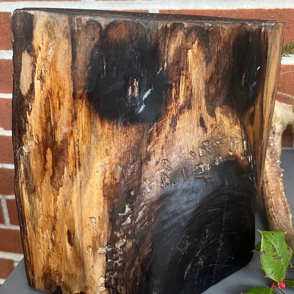 Bear Face Sculpture Reclaimed Raw Wood Decor Handcrafted